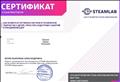 Сертификат STEM ПРАКТИКУМ "Как развить естественно-научное и техническое творчество у детей,упростить подготовку занятий и праздников в ДОУ" STEMLAB ООО Центр развития СТЕМ- образования,Москва март 2021